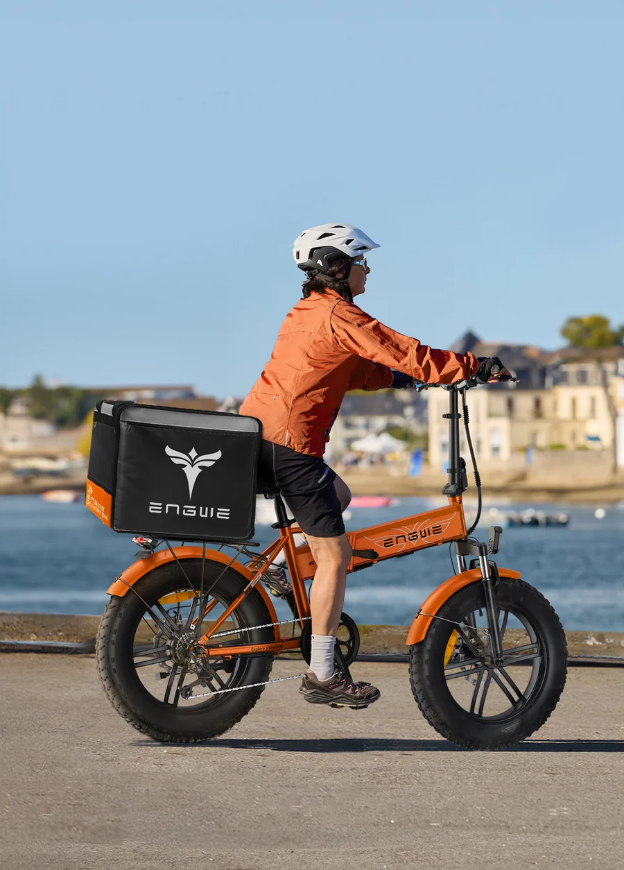 EP-2 Boost EU-lovlig 250W, 120 km rækkevidde, Boost Power, momentføler, all-terrain elcykel cykelstyrken – Image 5